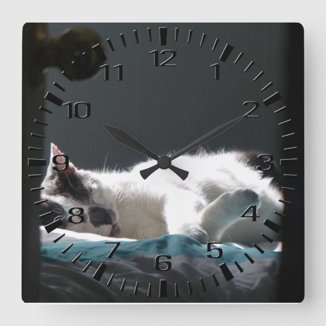 Horloge Carrée Chat dans Sunspot Ne pas déranger (Recto)