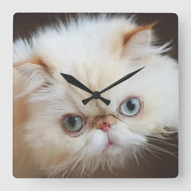 Horloge Carrée Chat Dans Une Boîte (Recto)