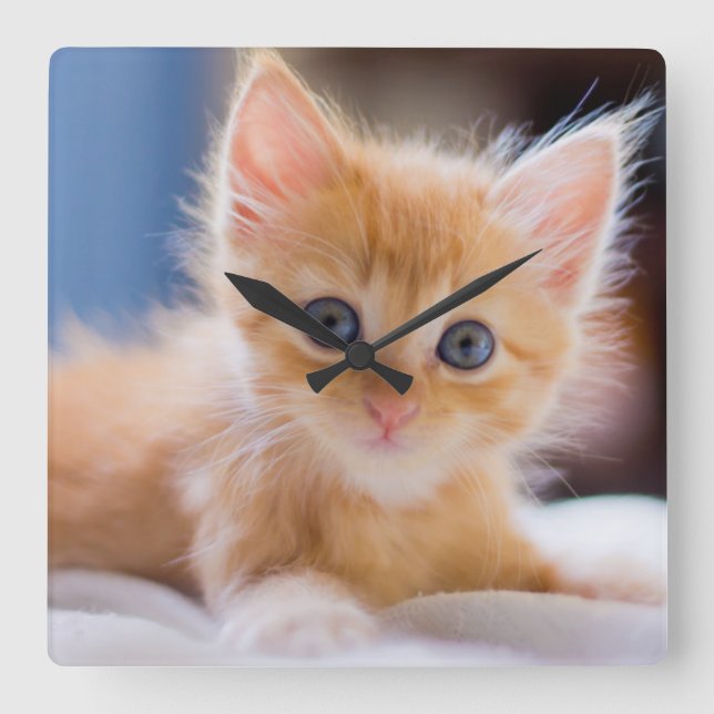 Horloge Carrée Chat mignon avec des yeux bleus (Recto)