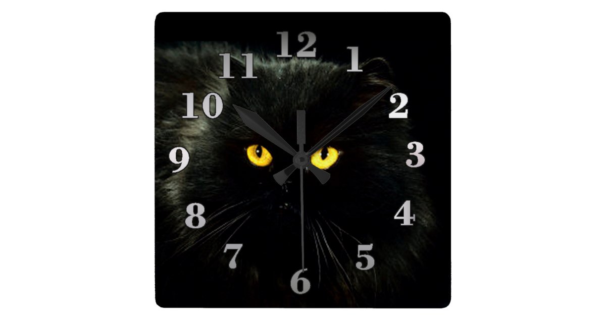 Horloge Carree Chat Noir Zazzle Fr