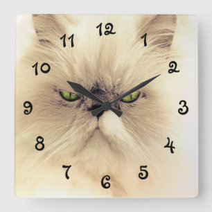 Horloge Carrée Chat Perse Blanc Oeil Vert