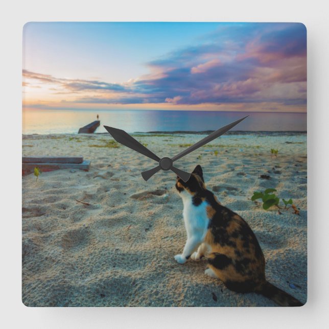 Horloge Carrée Chat se reposant sur une plage (Recto)