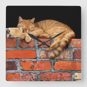 Horloge Carrée Chat sur mur de brique