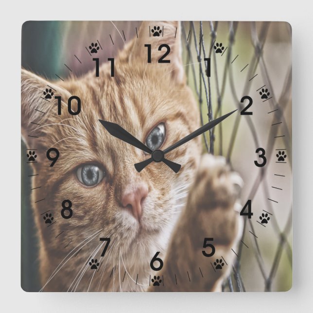 Horloge Carrée Chat Sur Une Clôture (Recto)