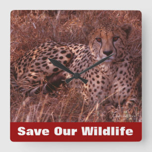 Horloge Carrée Cheetah Stare