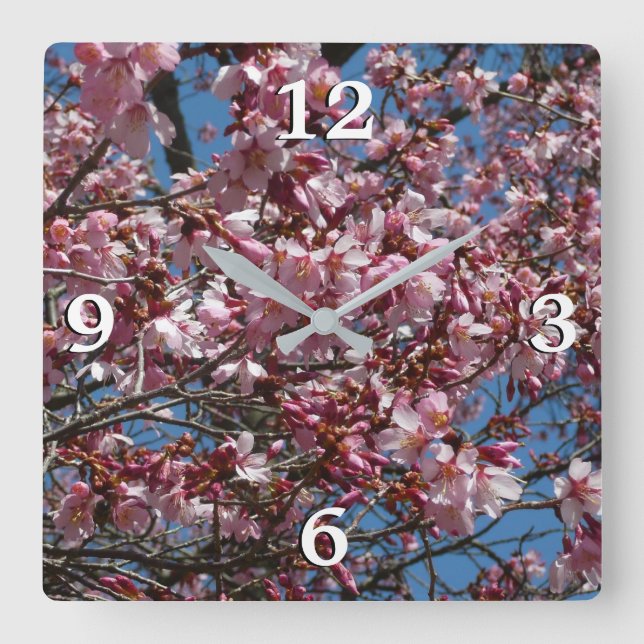 Horloge Carrée Cherry Blossoms et Blue Sky Spring Floral (Recto)