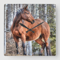 Cheval du Ranch Stallion de Bay debout dans une fo