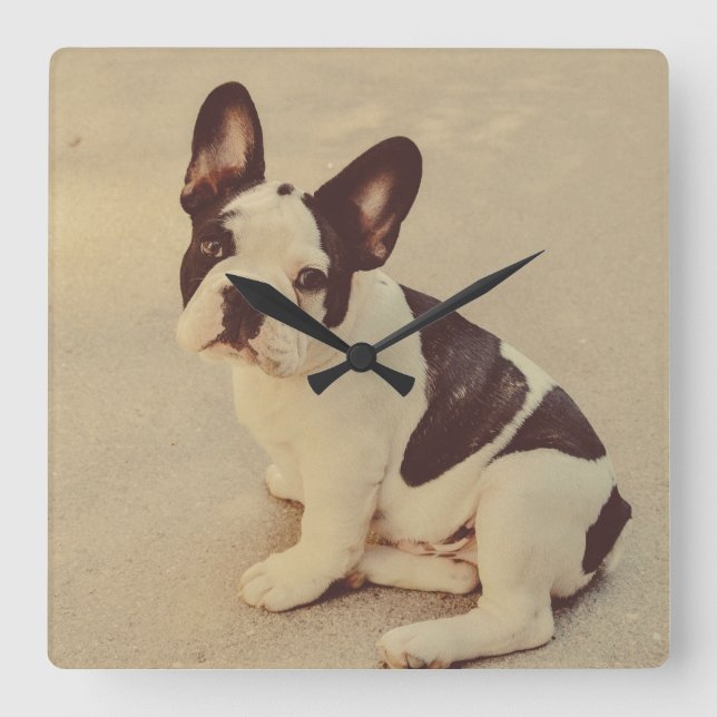 Horloge Carrée Chien (Recto)
