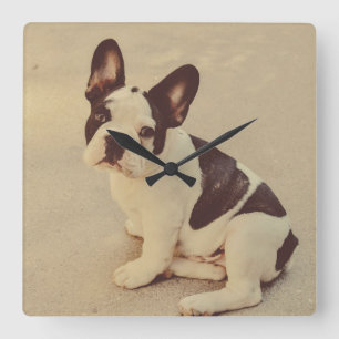 Horloge Carrée Chien
