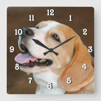 Horloge Carrée Chien beagle