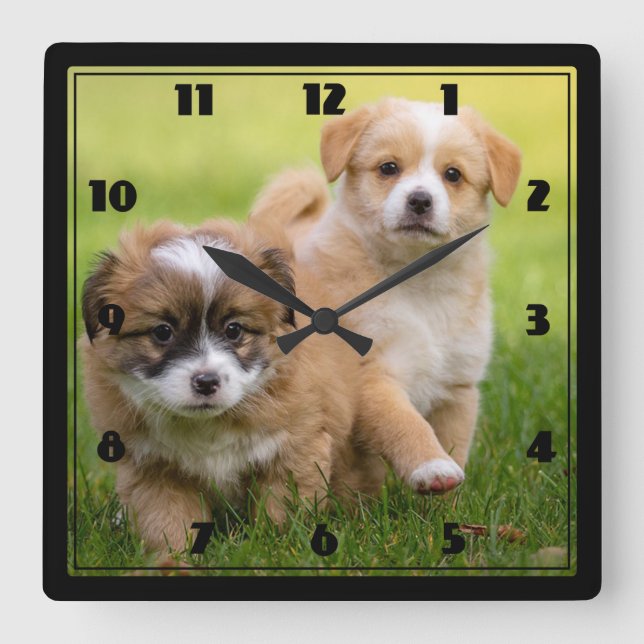 Horloge Carrée Chiens (Recto)