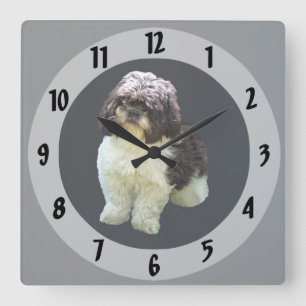 Horloge Carrée Chiot Shih Tzu adorable