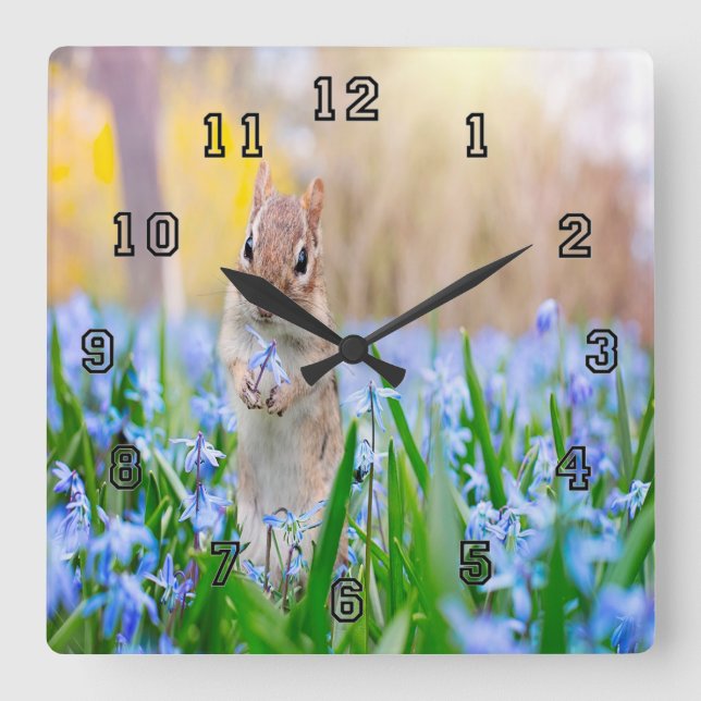 Horloge Carrée Chipmunk (Recto)