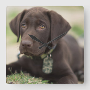 Horloge Carrée Chocolat blanc
