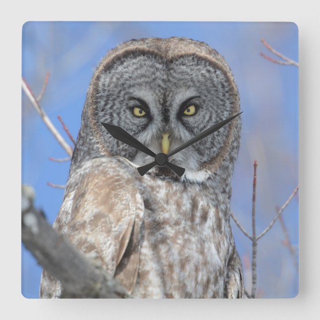 Horloge Carrée Chouette (Recto)