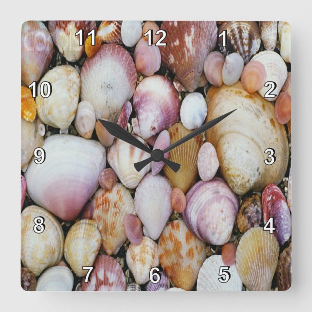 Horloge Carrée Clam Shell (Recto)