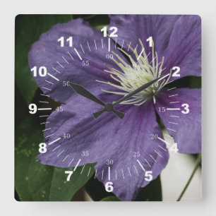 Horloge Carrée Clematis pourpre