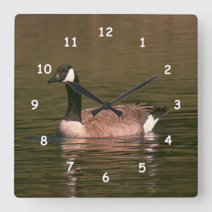 Horloge Carrée Clock - Canadian Goose