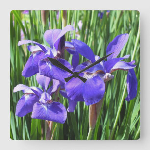 Horloge Carrée Clock de Purple Irises