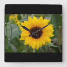 Clock de Sunflower
