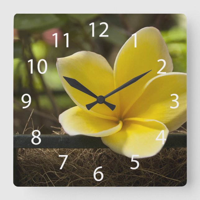 Horloge Carrée Clock Plumeria (Recto)