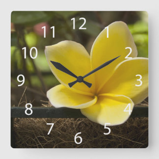 Horloge Carrée Clock Plumeria