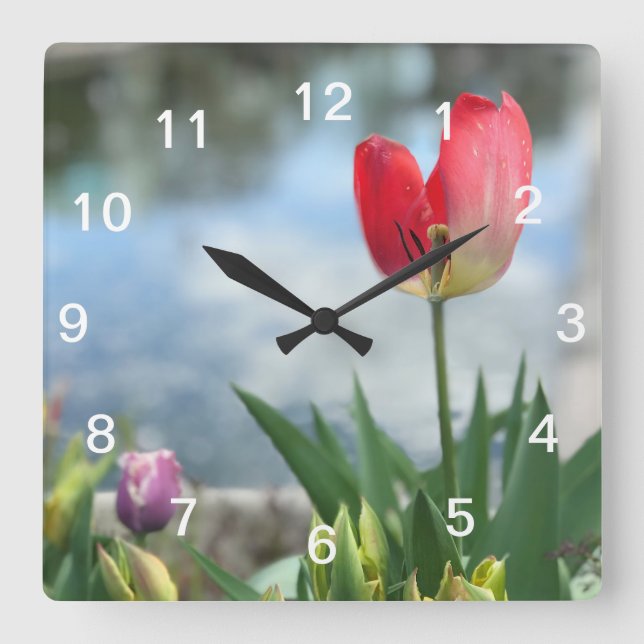 Horloge Carrée Clock Red Tulip (Recto)