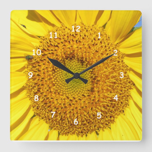 Horloge Carrée Clock - Sunflower Florets (Recto)