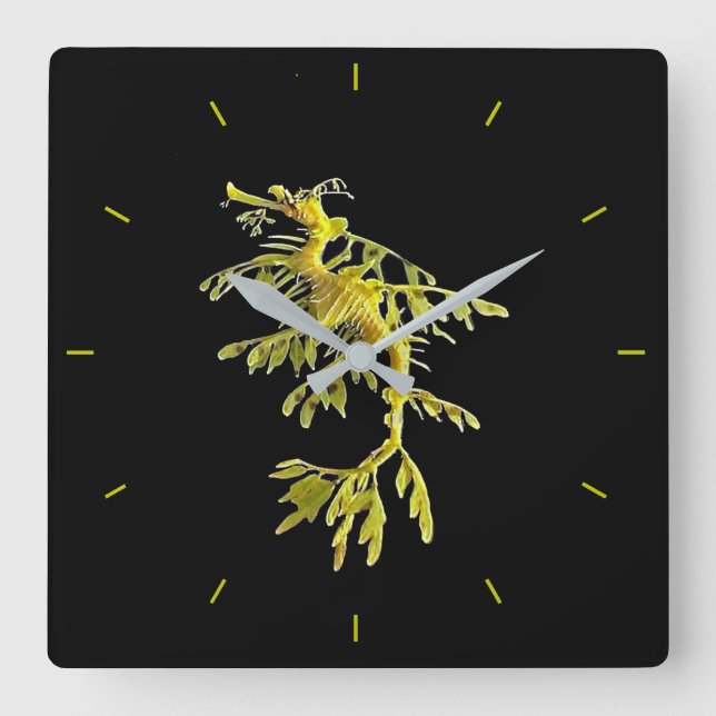 Horloge Carrée Clock with Leafy Sea Dragon (Recto)