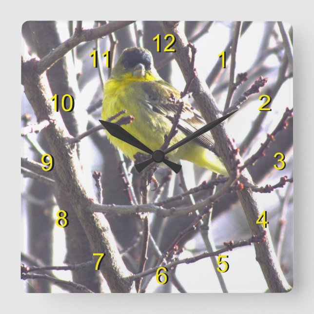 Horloge Carrée Clock - Yellow Bird en branches (Recto)