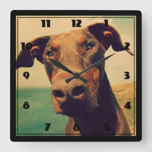 Horloge Carrée Closeudo drôle d'un chien Doberman naturel