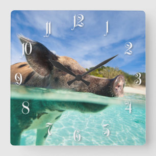 Horloge Carrée Cochon de natation d'Exuma