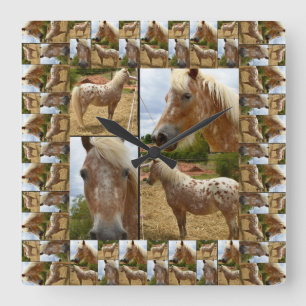 Horloge Carrée Collage photo de chevaux Appaloosa encadrés,
