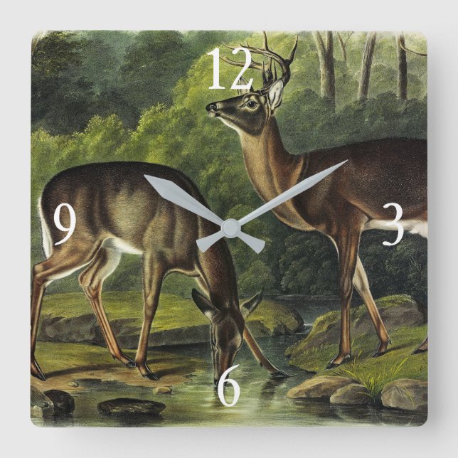 Horloge Carrée Common Deer (Recto)