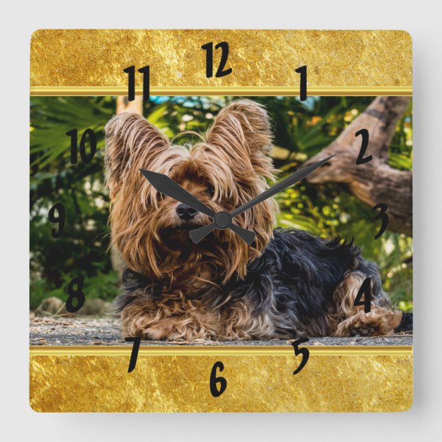 Horloge Carrée Conception adorable de feuilles d'or en terrier du (Recto)