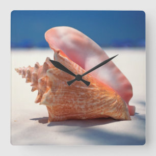 Horloge Carrée Conch Shell