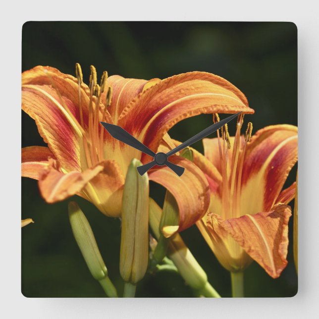 Horloge Carrée Considérons Les Lilies Du Terrain (Recto)