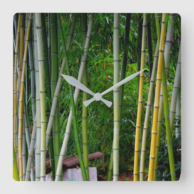 Horloge Carrée Cool Beau Bambou Grove Vert Jaune & Gris (Recto)