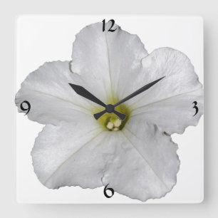 Horloge Carrée Cool blanc à la floraison de pétunia
