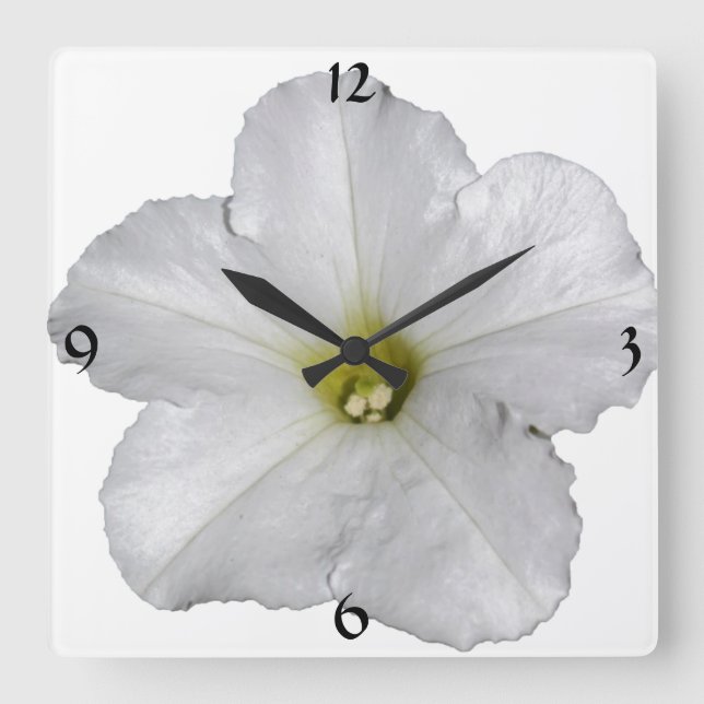 Horloge Carrée Cool blanc à la floraison de pétunia (Recto)