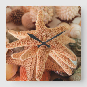 Horloge Carrée Coquillages en vente Zihuatanejo, Mexique