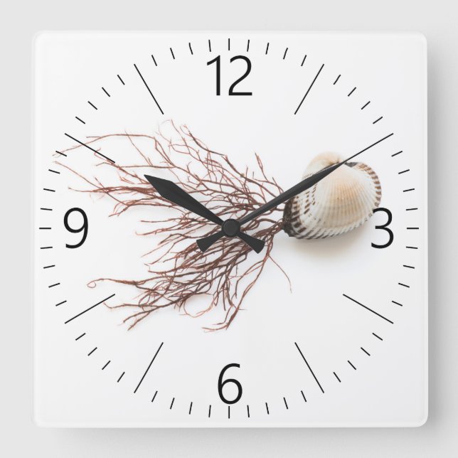 Horloge Carrée Coquille (Recto)