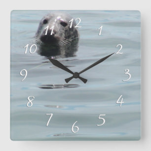 Horloge Carrée Coucou Un Phoque Drôle Sortant la Tête