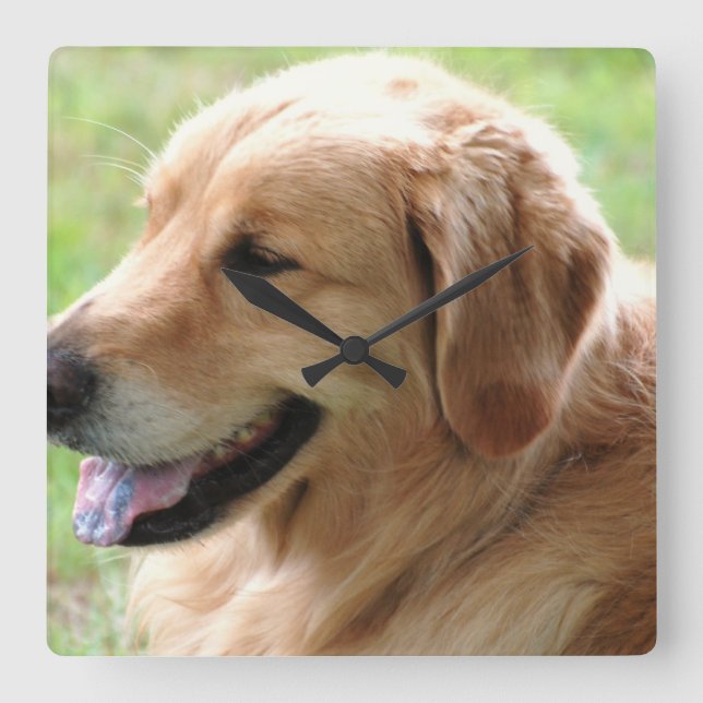 Horloge Carrée Coupe Golden Retriever (Recto)