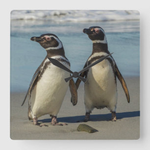 Horloge Carrée Couple de manchots sur la plage