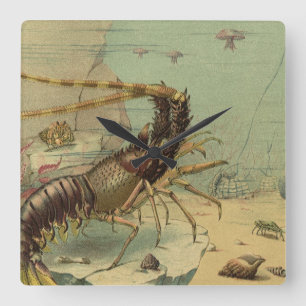 Horloge Carrée Crevettes, Vie marine sous-marine, Animaux marins 