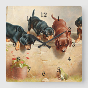 Horloge Carrée Curieux Chiots Dachshund et une grenouille