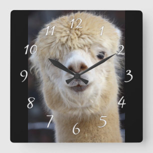 Horloge Carrée Cute Alpaca face