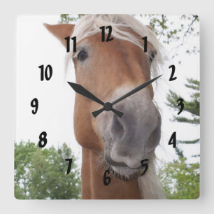 Horloge Carrée Cute Belgian Draft Horse Face Animal