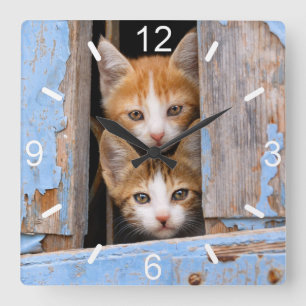 Horloge Carrée Cute Chatte Chatte Kittens en Vintage Bleu Fenêtre